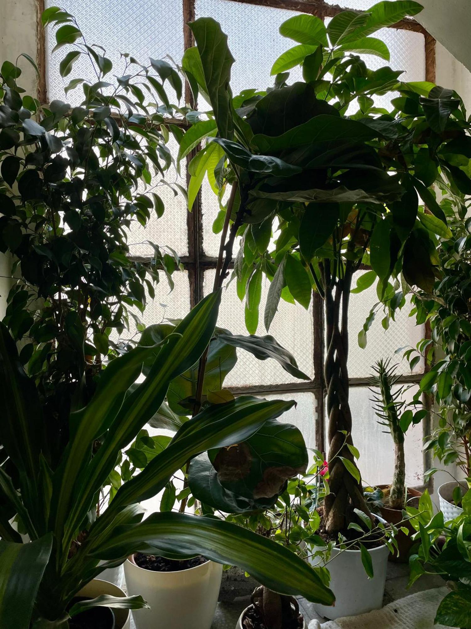 Lorenzo'S House Catania City Centre - Comfortable Large Apartment With 2 Bedrooms And 2 Baths, Close To Trains, Metro And Bus Station المظهر الخارجي الصورة