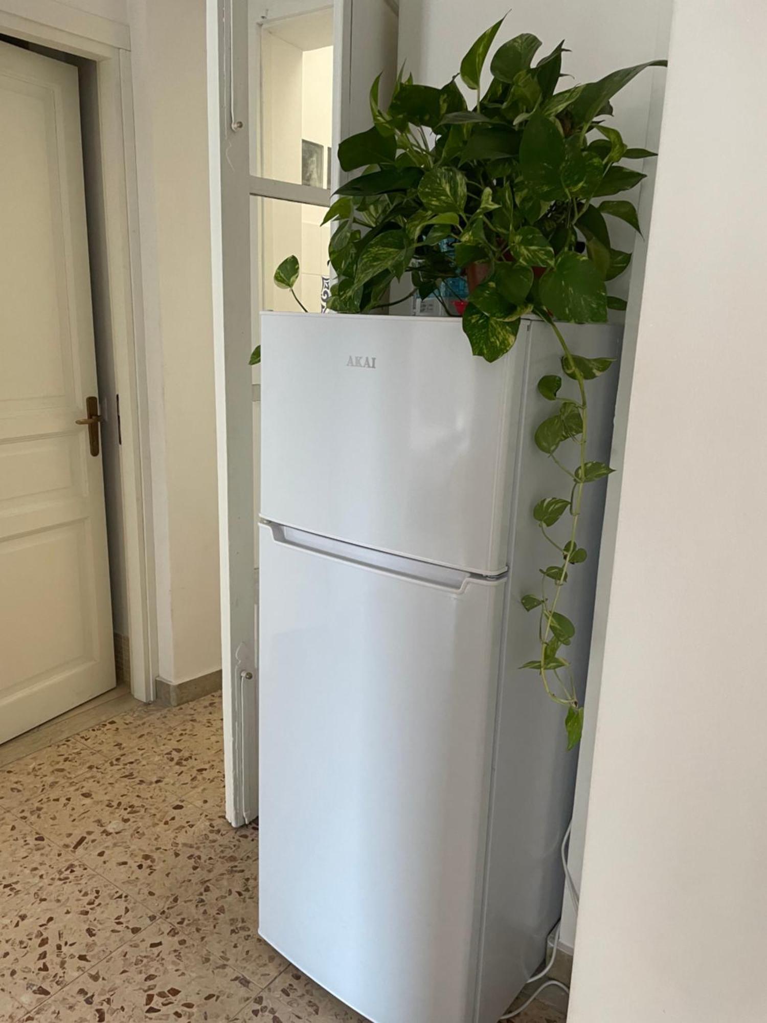 Lorenzo'S House Catania City Centre - Comfortable Large Apartment With 2 Bedrooms And 2 Baths, Close To Trains, Metro And Bus Station المظهر الخارجي الصورة